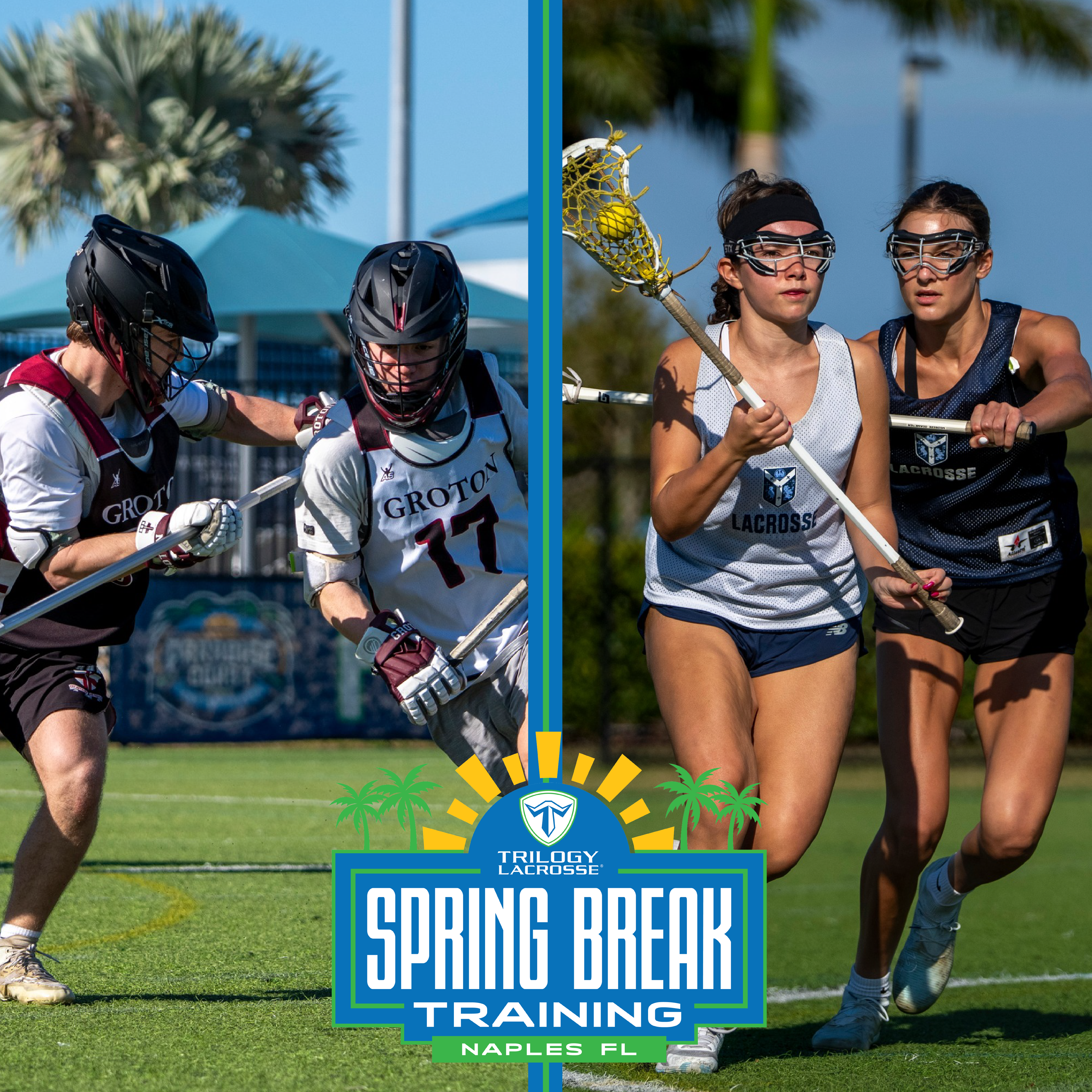 Spring Break Banner